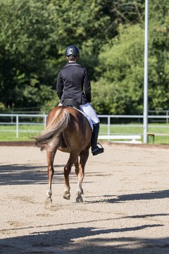 Bild 56 - Pony Akademie Turnier